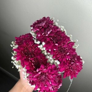 Plum Petals