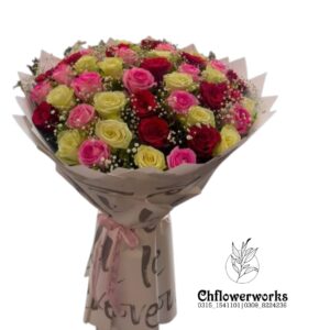 Royal Bloom Medley(50 imported roses)