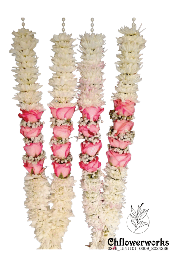 Regal Bloom Haar