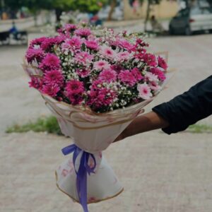 Chrysanthemum Purple Bliss